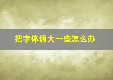 把字体调大一些怎么办