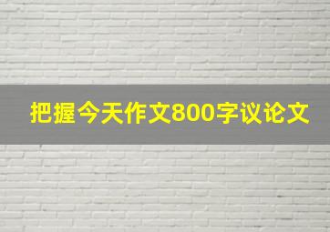 把握今天作文800字议论文