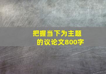 把握当下为主题的议论文800字