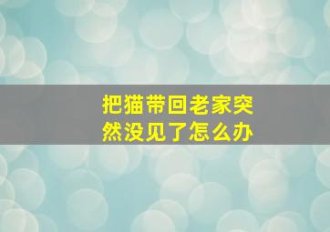 把猫带回老家突然没见了怎么办