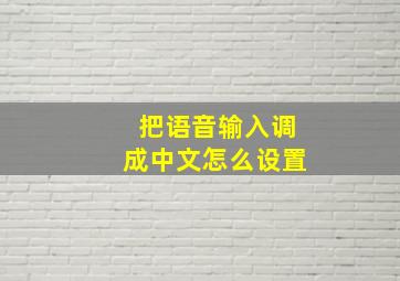 把语音输入调成中文怎么设置