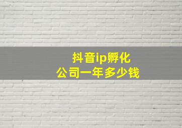 抖音ip孵化公司一年多少钱