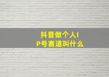 抖音做个人IP号赛道叫什么