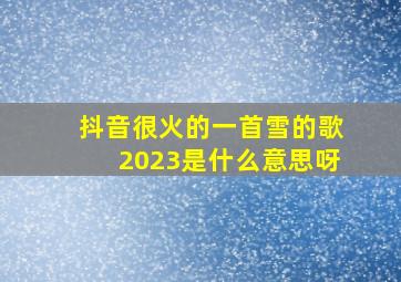 抖音很火的一首雪的歌2023是什么意思呀