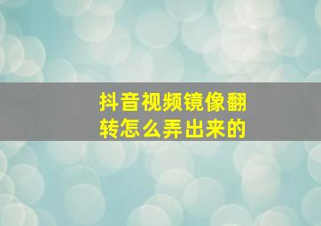 抖音视频镜像翻转怎么弄出来的