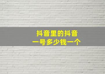 抖音里的抖音一号多少钱一个