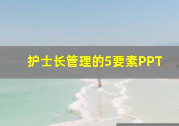 护士长管理的5要素PPT