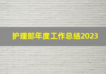 护理部年度工作总结2023