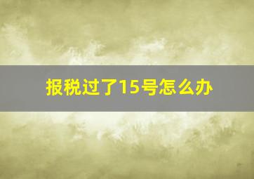 报税过了15号怎么办