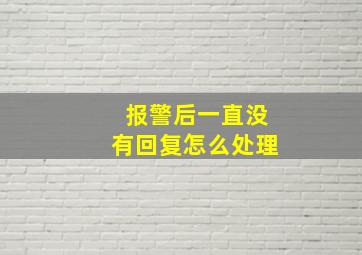 报警后一直没有回复怎么处理