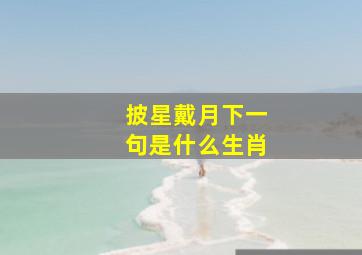 披星戴月下一句是什么生肖