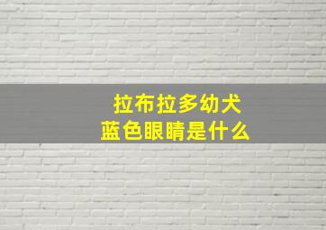 拉布拉多幼犬蓝色眼睛是什么