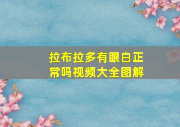 拉布拉多有眼白正常吗视频大全图解