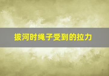 拔河时绳子受到的拉力