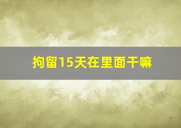 拘留15天在里面干嘛