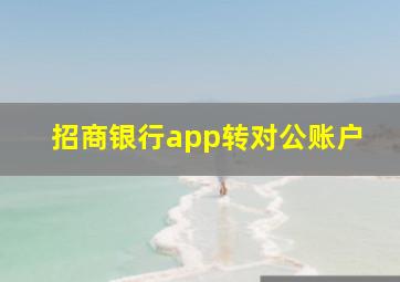 招商银行app转对公账户