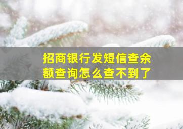 招商银行发短信查余额查询怎么查不到了