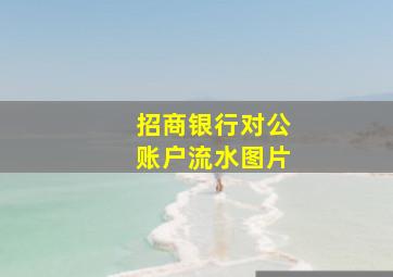 招商银行对公账户流水图片