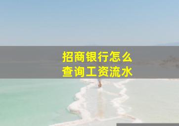 招商银行怎么查询工资流水