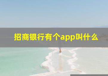 招商银行有个app叫什么