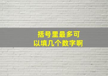 括号里最多可以填几个数字啊