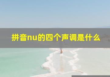 拼音nu的四个声调是什么