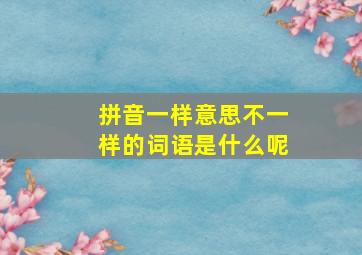 拼音一样意思不一样的词语是什么呢