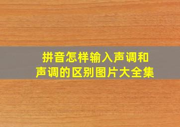 拼音怎样输入声调和声调的区别图片大全集