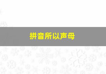 拼音所以声母