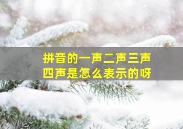 拼音的一声二声三声四声是怎么表示的呀