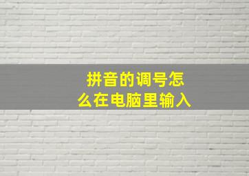 拼音的调号怎么在电脑里输入