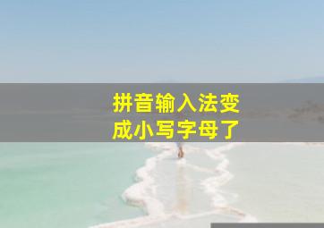 拼音输入法变成小写字母了