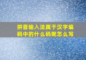 拼音输入法属于汉字编码中的什么码呢怎么写