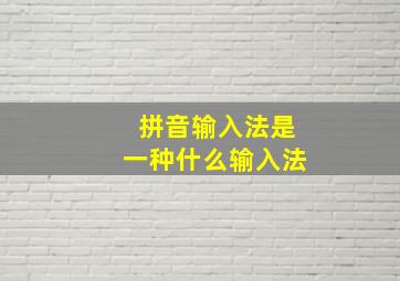 拼音输入法是一种什么输入法