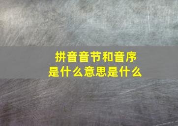 拼音音节和音序是什么意思是什么