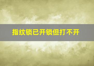 指纹锁已开锁但打不开