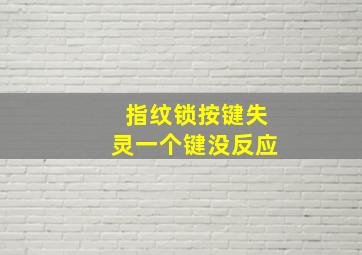 指纹锁按键失灵一个键没反应