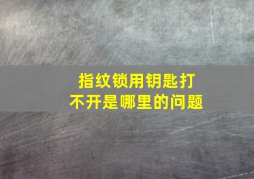 指纹锁用钥匙打不开是哪里的问题