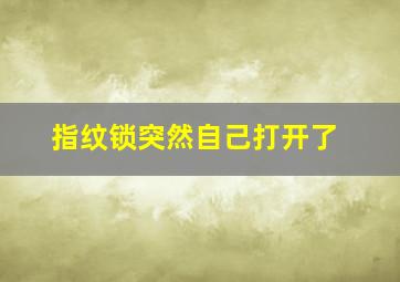 指纹锁突然自己打开了