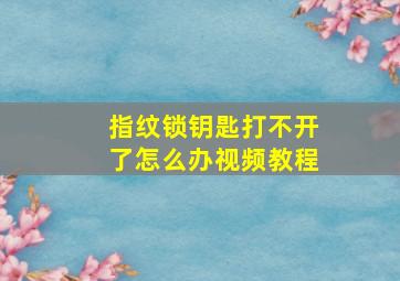 指纹锁钥匙打不开了怎么办视频教程