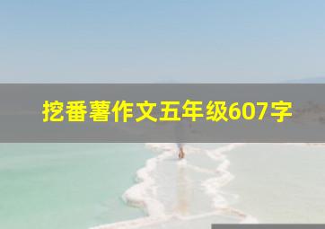 挖番薯作文五年级607字