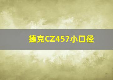 捷克CZ457小口径