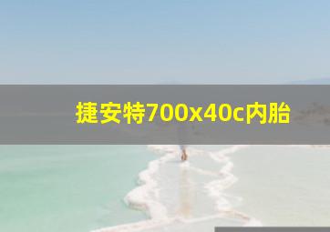 捷安特700x40c内胎