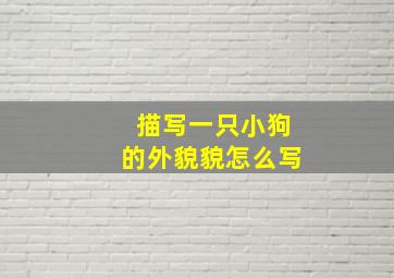 描写一只小狗的外貌貌怎么写