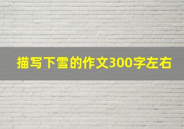 描写下雪的作文300字左右