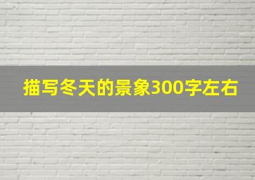 描写冬天的景象300字左右