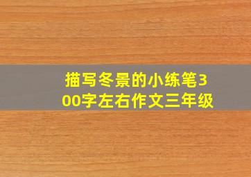 描写冬景的小练笔300字左右作文三年级