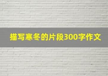 描写寒冬的片段300字作文