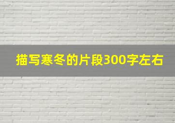 描写寒冬的片段300字左右