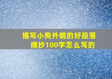 描写小狗外貌的好段落摘抄100字怎么写的